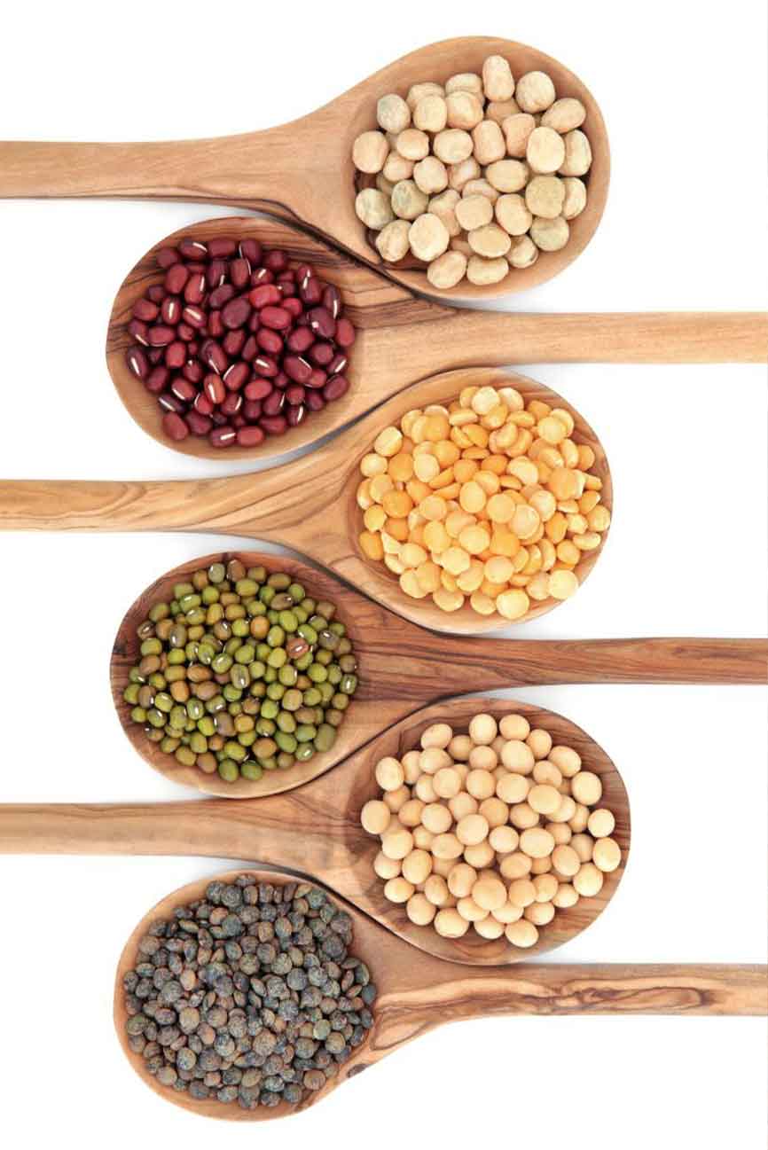 خوراک گوساله گوشتی تینا دانه سپاهان