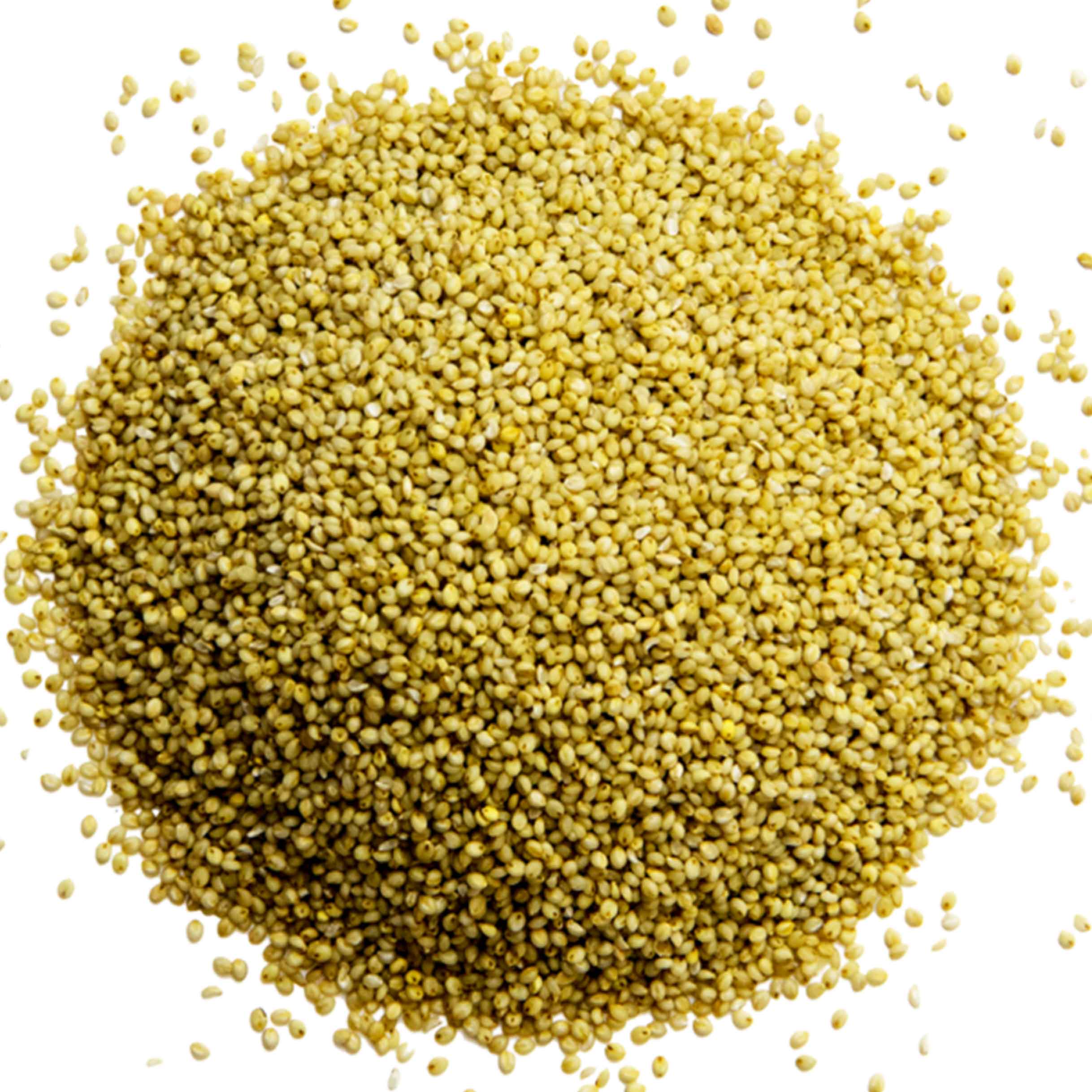 خط تولید خوراک دام